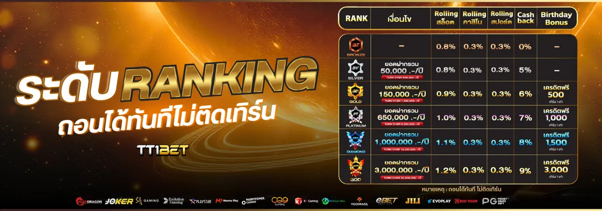 TT1BET image